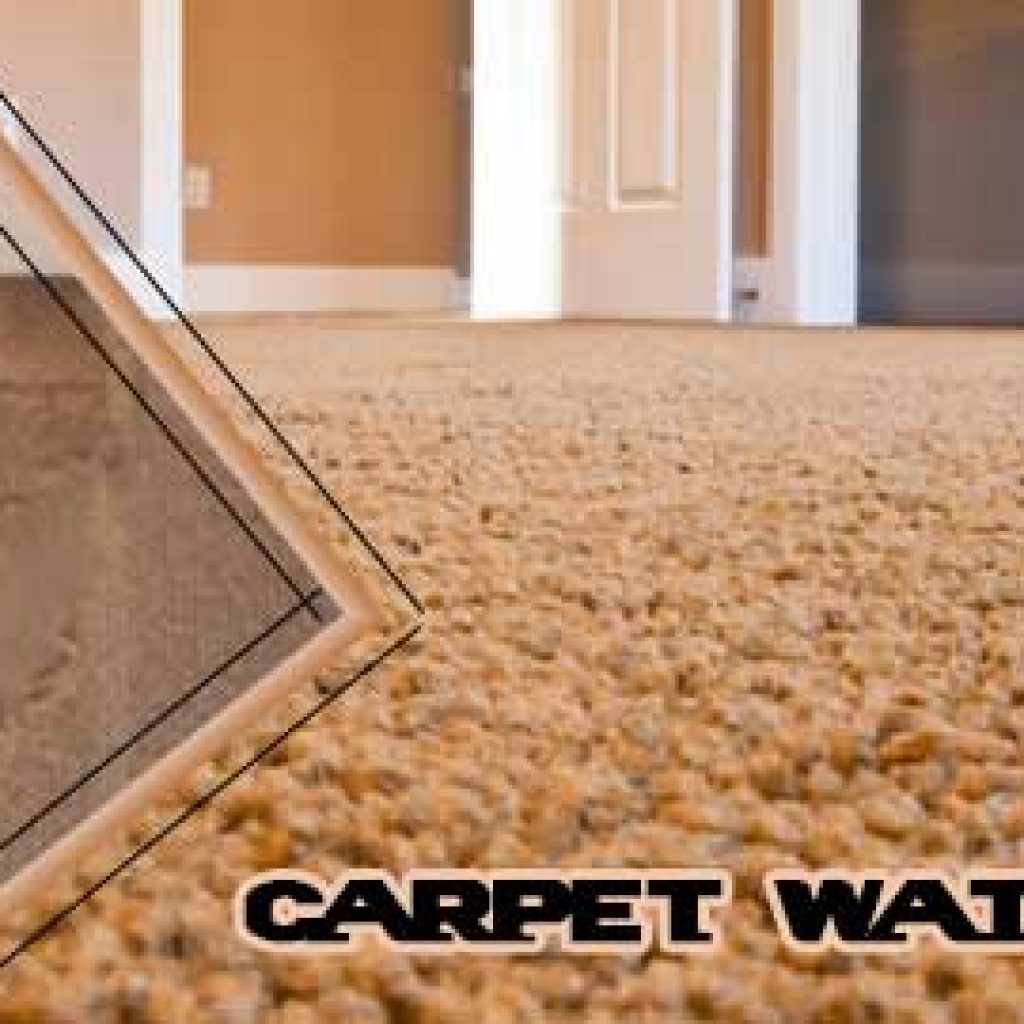 What Are The Causes Of Carpet Water Damage And Its Solutions 